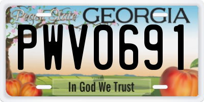 GA license plate PWV0691