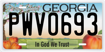 GA license plate PWV0693