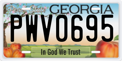 GA license plate PWV0695