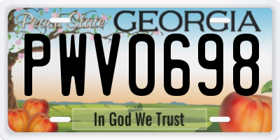 GA license plate PWV0698