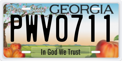 GA license plate PWV0711