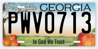 GA license plate PWV0713