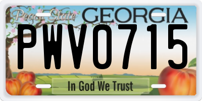 GA license plate PWV0715