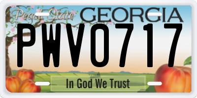 GA license plate PWV0717