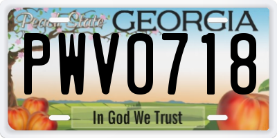 GA license plate PWV0718