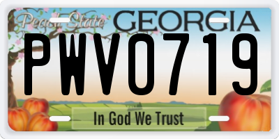 GA license plate PWV0719