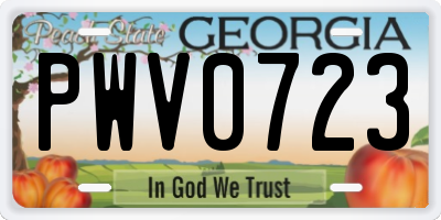 GA license plate PWV0723