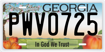 GA license plate PWV0725