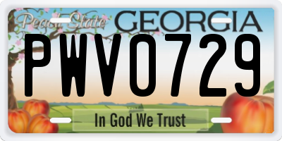 GA license plate PWV0729