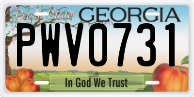 GA license plate PWV0731