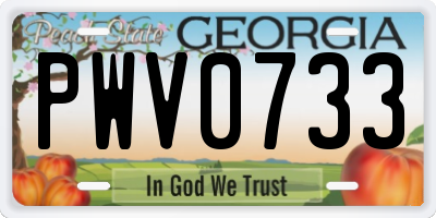 GA license plate PWV0733