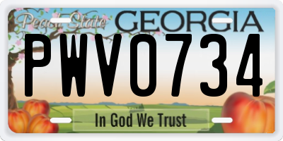 GA license plate PWV0734