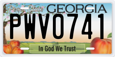 GA license plate PWV0741