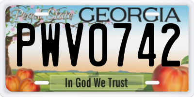 GA license plate PWV0742