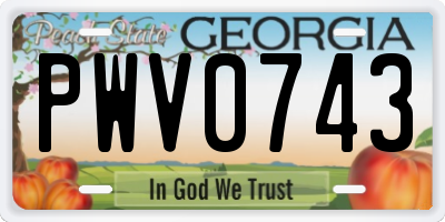 GA license plate PWV0743