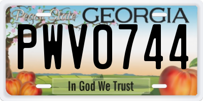 GA license plate PWV0744