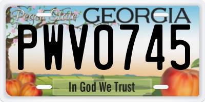 GA license plate PWV0745