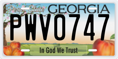GA license plate PWV0747