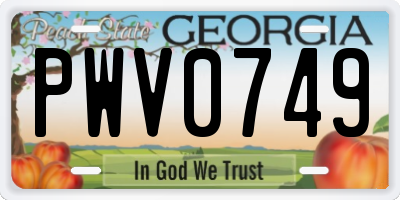 GA license plate PWV0749