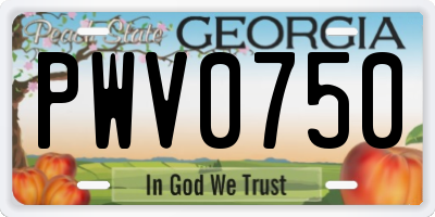 GA license plate PWV0750