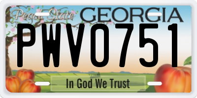 GA license plate PWV0751