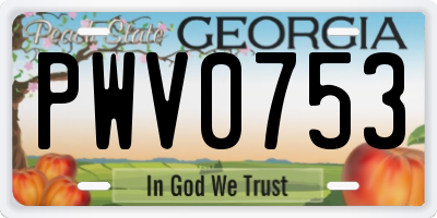 GA license plate PWV0753