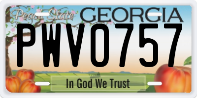 GA license plate PWV0757