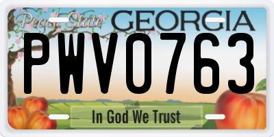 GA license plate PWV0763