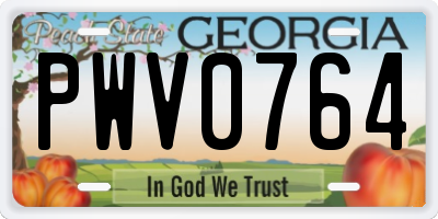 GA license plate PWV0764