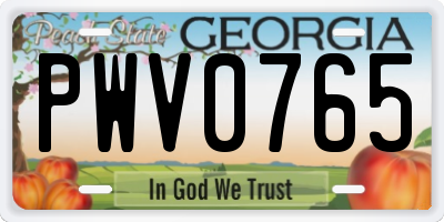 GA license plate PWV0765