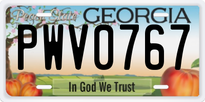 GA license plate PWV0767