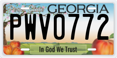 GA license plate PWV0772