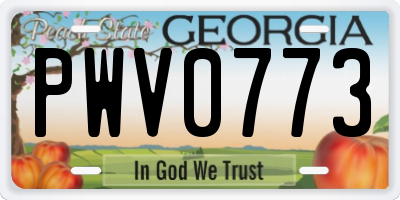 GA license plate PWV0773