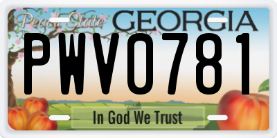 GA license plate PWV0781