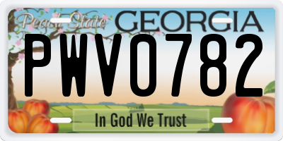 GA license plate PWV0782