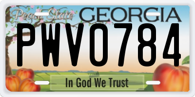 GA license plate PWV0784