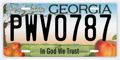 GA license plate PWV0787
