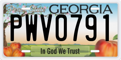 GA license plate PWV0791