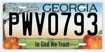 GA license plate PWV0793