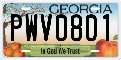 GA license plate PWV0801