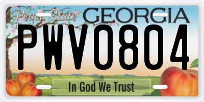 GA license plate PWV0804