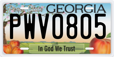 GA license plate PWV0805