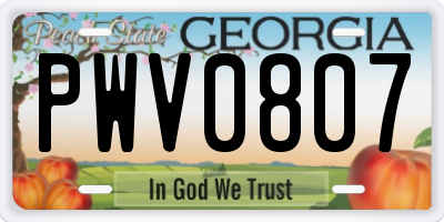 GA license plate PWV0807
