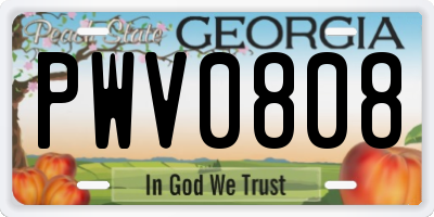 GA license plate PWV0808