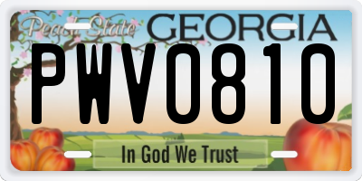 GA license plate PWV0810
