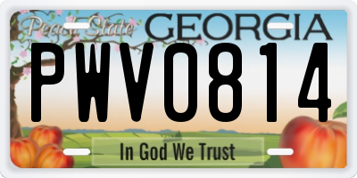 GA license plate PWV0814