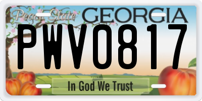 GA license plate PWV0817