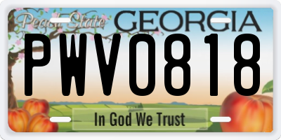 GA license plate PWV0818