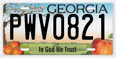 GA license plate PWV0821