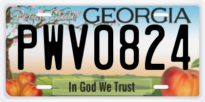 GA license plate PWV0824